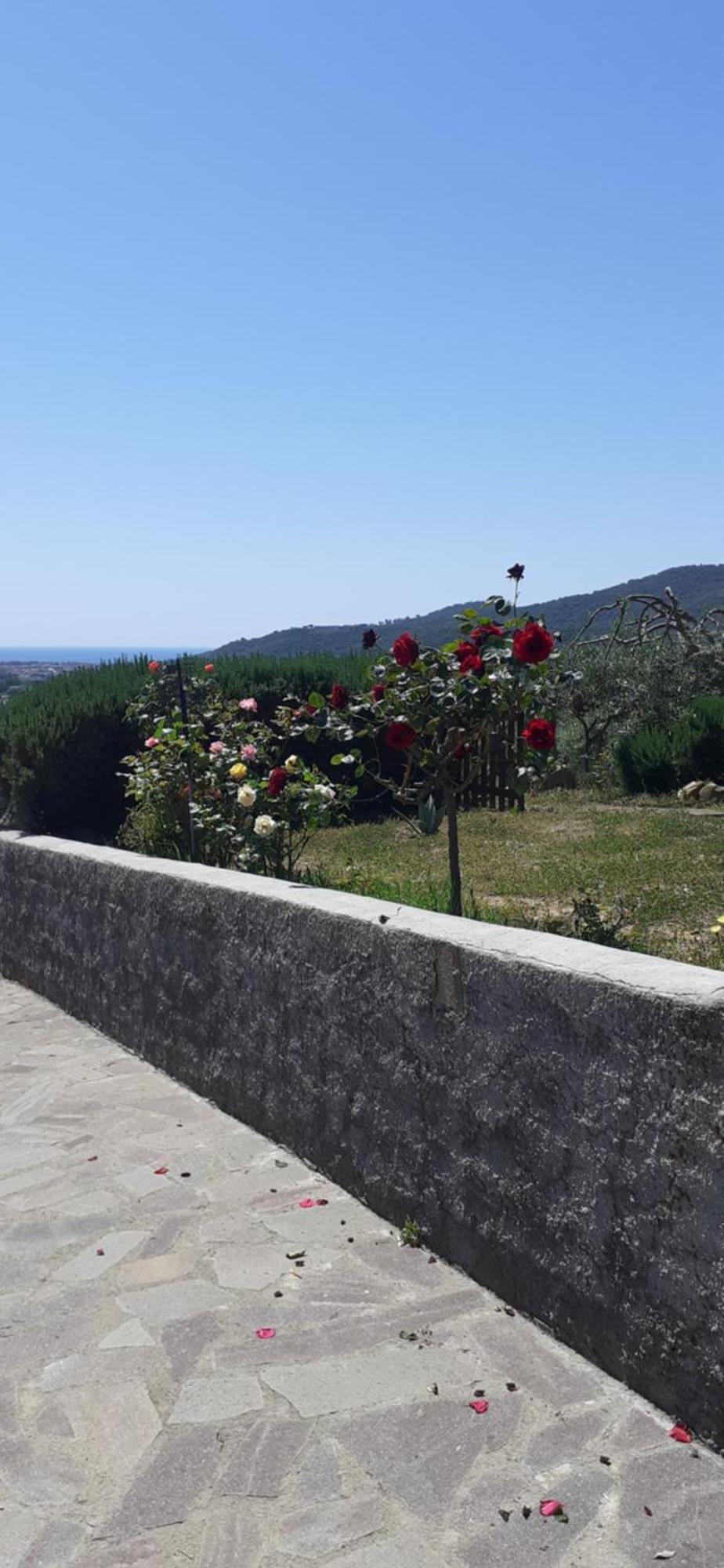 Bed and Breakfast Bellavista Prile à Castiglione della Pescaia Chambre photo
